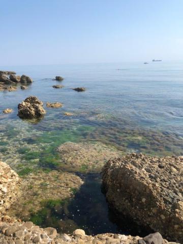 Piazza Verdi B&B Vasto Dış mekan fotoğraf